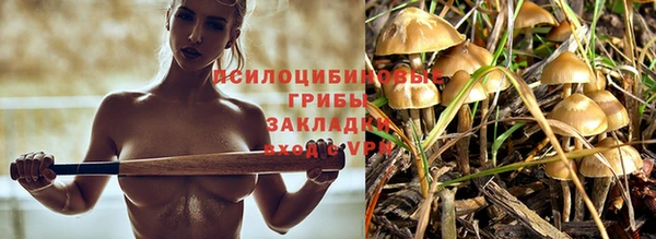 ECSTASY Алексеевка