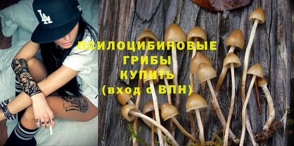 apvp Осинники