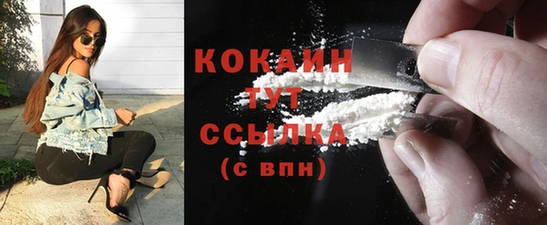 индика Пестово
