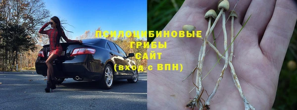 спайс Алексин